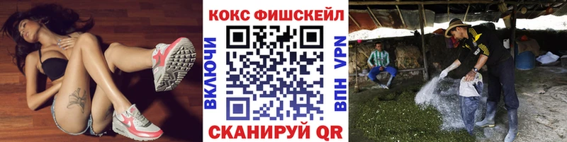 закладки  Подольск  Cocaine FishScale 
