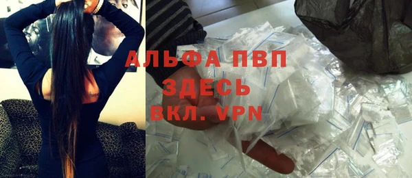 mdpv Бородино