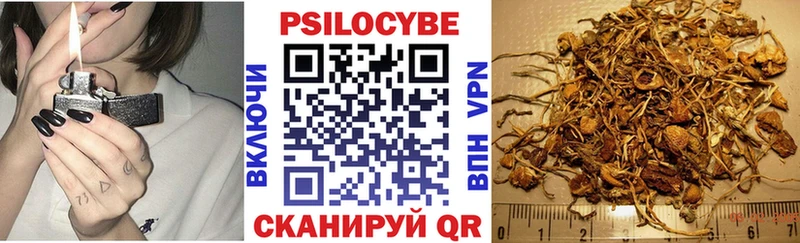 цены   Подольск  Галлюциногенные грибы GOLDEN TEACHER 