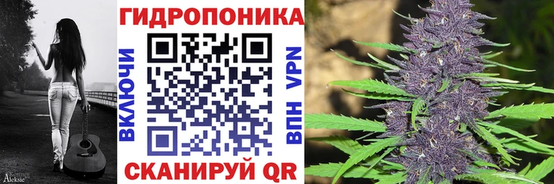 Каннабис план  где можно купить наркотик  Подольск 